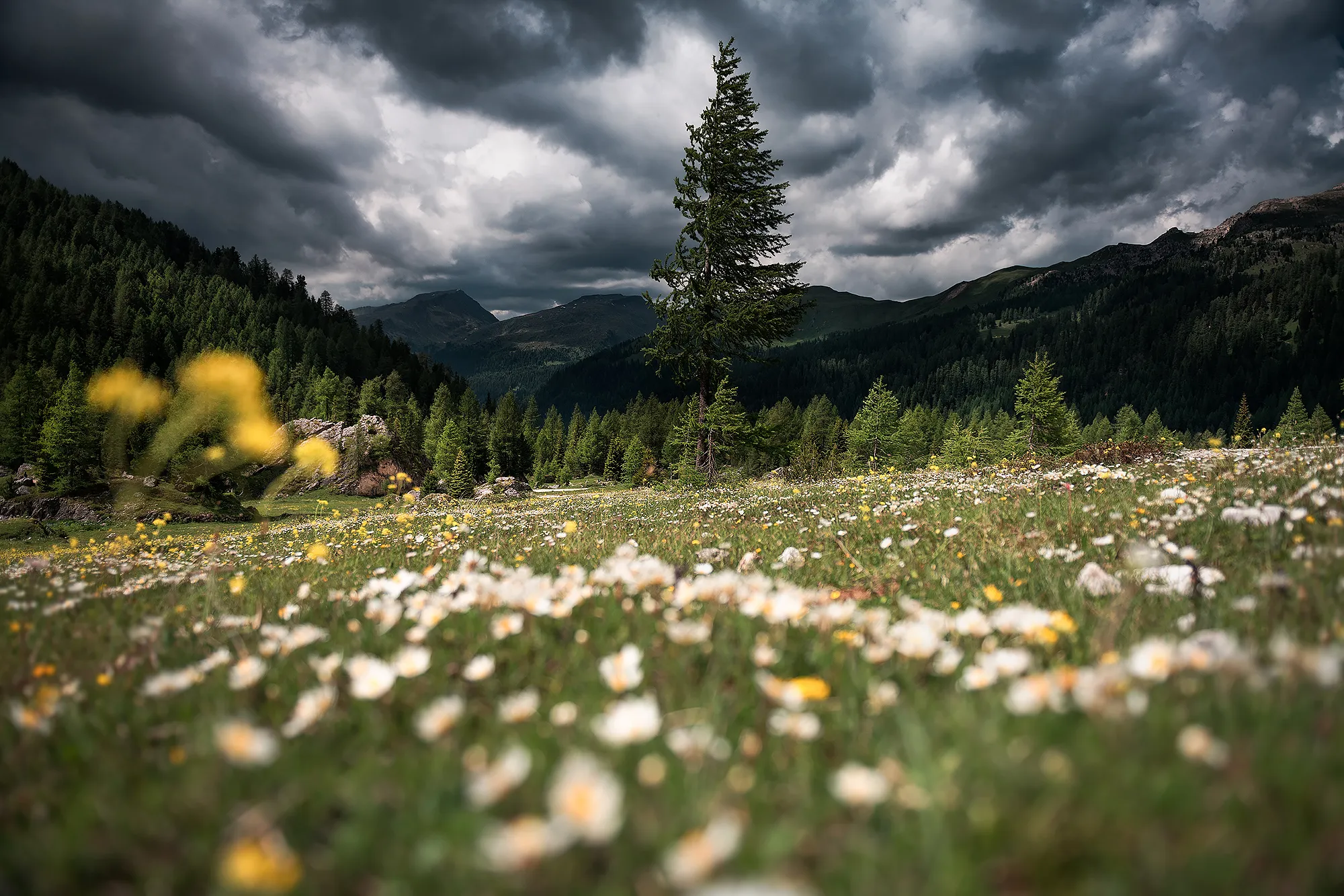 Val Venegia
